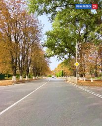 Улица Ленина, Михайловск