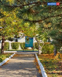 Осень на территории Шпаковской районной больницы